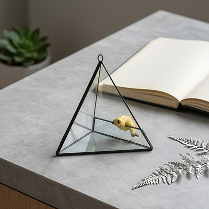 Geometric glass conservatory, triangular flower vase